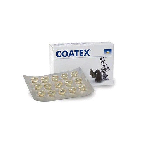 포베츠 코텍스 블리스터(COATEX) 60캡슐