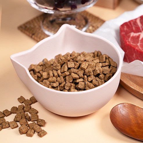 강아지를 위한 최고의 선택