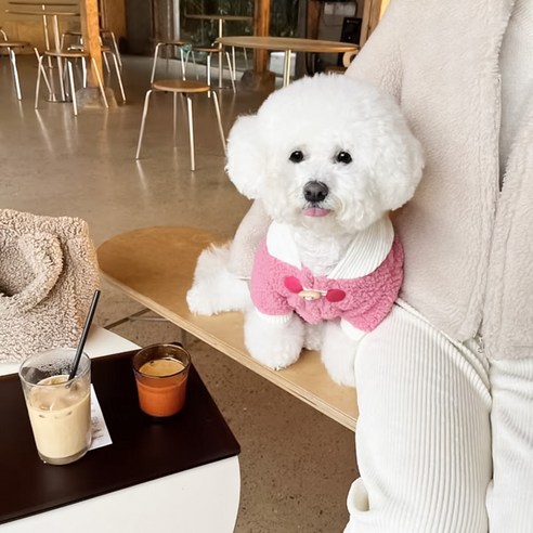 반려동물 강아지 양털 뽀글이 후드 자켓 외투 하네스 일체형, 1개, 브라운