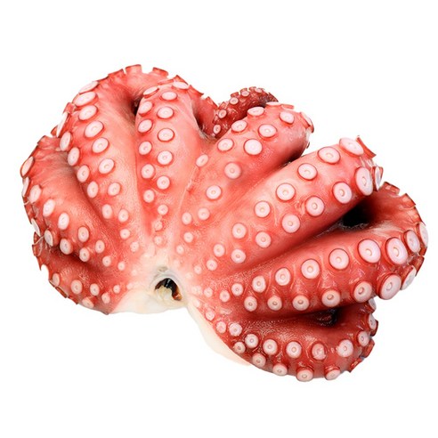 안전하고 신선한 필리핀산 고품질 자숙문어