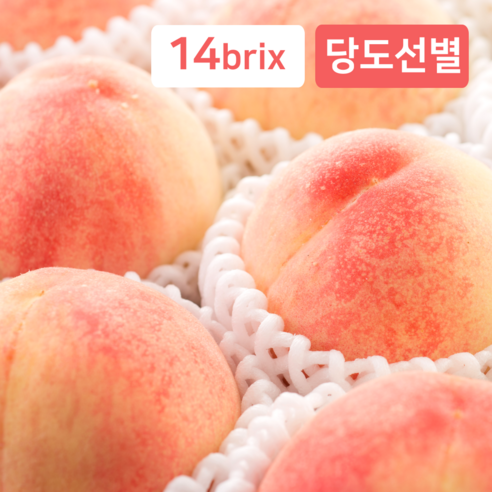 품평회대상 딱딱이 복숭아 백도 과일, 1개, 2kg (8과)