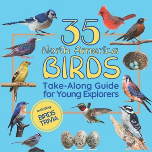 (영문도서) The Most Popular Birds of North America: Bird Watching Guide for Kids Paperback, Independently Published, English, 9798378547036