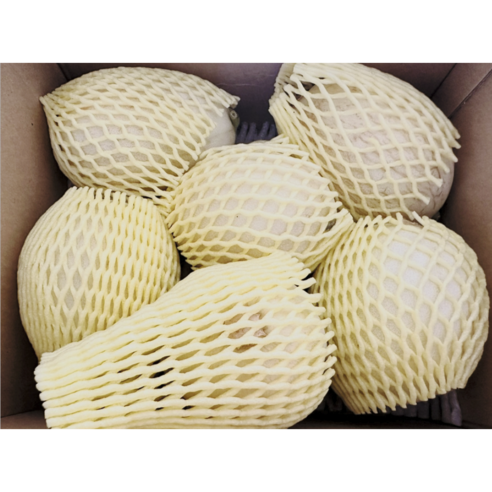 (산지직송) 프리미엄 고당도 당일수확 당일발송 아삭 설향메론 설향 메론 2kg 3kg 5kg, 5kg(5~10과), 1개