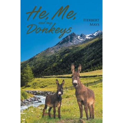 (영문도서) He Me and My Donkeys Paperback, Covenant Books, English, 9781643003825