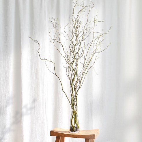 [오케이나우ㅣ인기상품] 안식처에 생기를 불어넣는 곱슬버들 생화 그린 소재: 스타일과 기능성의 완벽한 조화 [OKNOWㅣ추천상품]