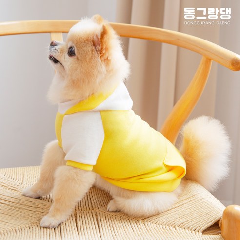 [동그랑댕] 강아지옷 후드티 파스텔 애견의류 반려견옷, 옐로댕