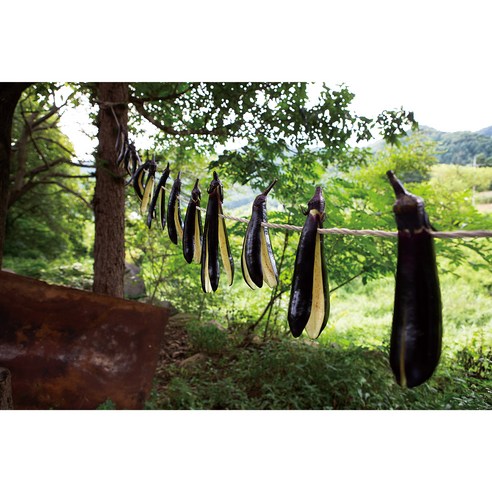 국내산 못난이 가지: 독특한 맛과 다양한 용도의 가정용 특품