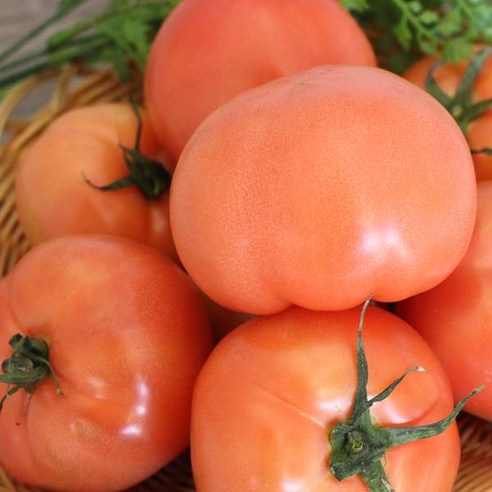 국내산 쥬스용 토마토 1~2번과 10kg 1박스 자연대로팜웨이, 쥬스용 토마토 10kg