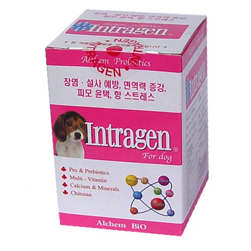 알켐바이오 인트라젠 200정 종합영양제, 1개, 면역력 강화 강아지 영양제