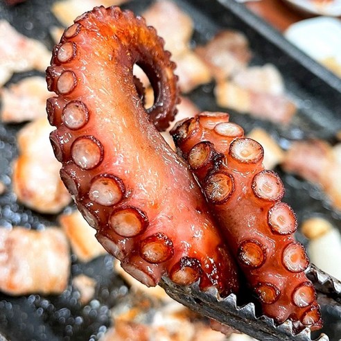 산지직송 통영산 돌문어, 바다의 생생한 맛을 식탁으로