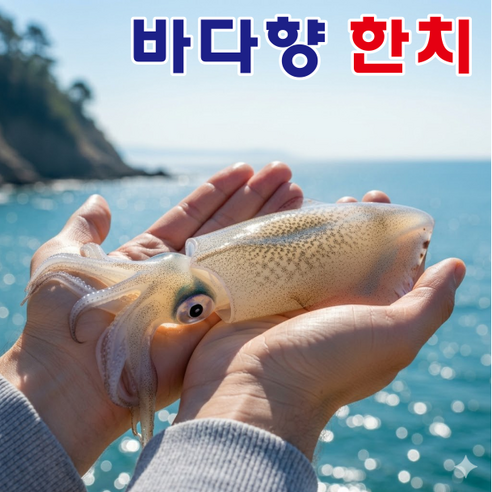 [특가한정] 생물 창꼴뚜기 급냉 한치, 1박스, 1kg