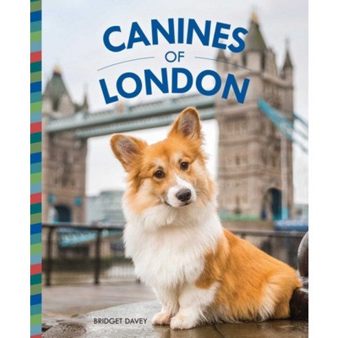 (영문도서) Canines of London (Dog Photography Dog Lovers Gift) Hardcover, Bluestreak, English, 9781681885056