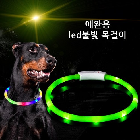 윈티크 애완용 사고 예방 LED 불빛 목줄, 그린, 1개