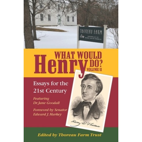 (영문도서) What Would Henry Do? Essays for the 21st Century Volume II Paperback, Independently Published, English, 9798838858603