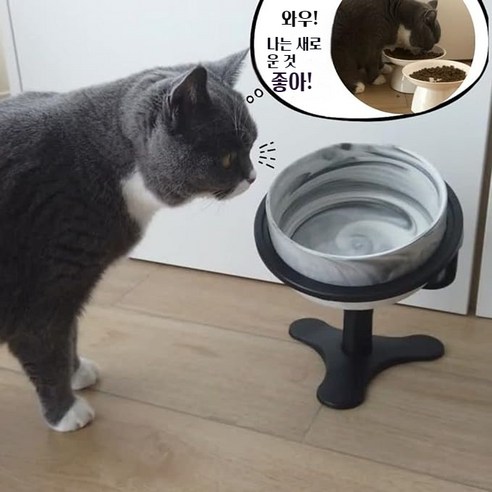 조절 가능 높이 조절 고양이 사료 그릇 기울어진 높이 조절 급식 그릇, 1개