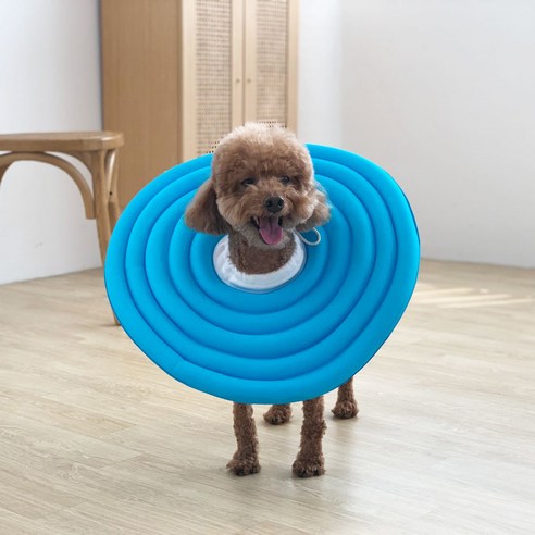 유앤펫 강아지 고양이 UFO 초경량 넥카라(시즌3)은 경량하고 편안한 착용감을 제공하는 제품입니다.