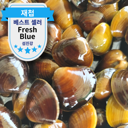 섬진강 활 재첩 국내산 생물 생재첩