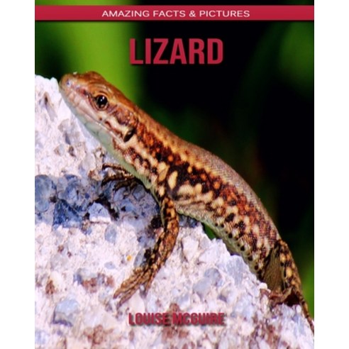 Lizard: Amazing Facts & Pictures Paperback, Independently Published