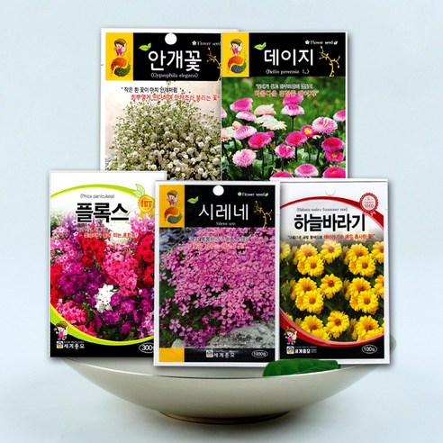 자연의 아름다움을 담은 꽃 씨앗: 다년생 야생화 종자 컬렉션