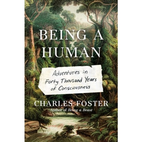 Being a Human: Adventures in Forty Thousand Years of Consciousness Hardcover, Metropolitan Books, English, 9781250783714