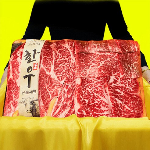 최고의 한우 경험을 선사하는 1++ 투뿔 NO.9 A급 마블링 구이용 한우 선물 세트