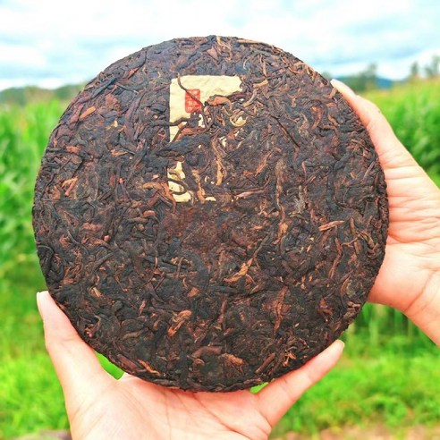 운남성에서 빚어낸 숙차, 건강과 맛이 돋보이는 보이차