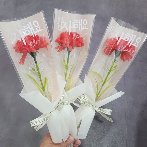 레드카네이션 한송이꽃다발: 진심을 담은 특별한 선물