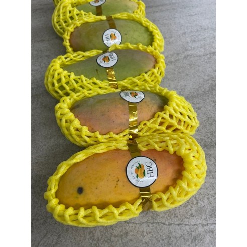 망고 맛집, 이제 집에서! 종류별 망고 솔직 후기 & 나에게 맞는 망고 찾기 깟화롭망고