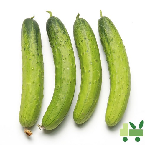 사라상회 백다다기 오이 (백오이) 10Kg (상)