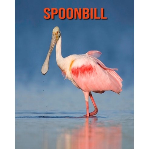 Spoonbill: Fun Facts & Cool Pictures Paperback, Independently Published, English, 9798563292659