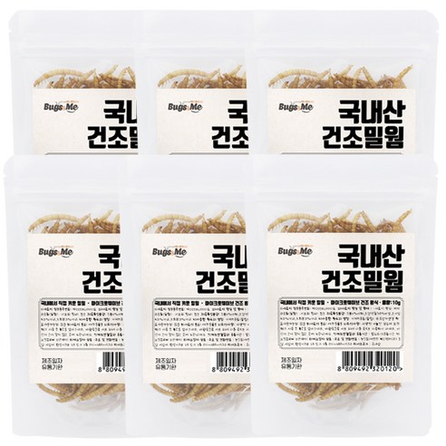 벅스앤미(주) 국내산 건조밀웜 (햄스터 고슴도치 앵무새 먹이 간식) 사료/간식/밀웜/영양제, 10g, 6개