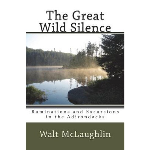 (영문도서) The Great Wild Silence: Ruminations and Excursions in the Adirondacks Paperback, Wood Thrush Books