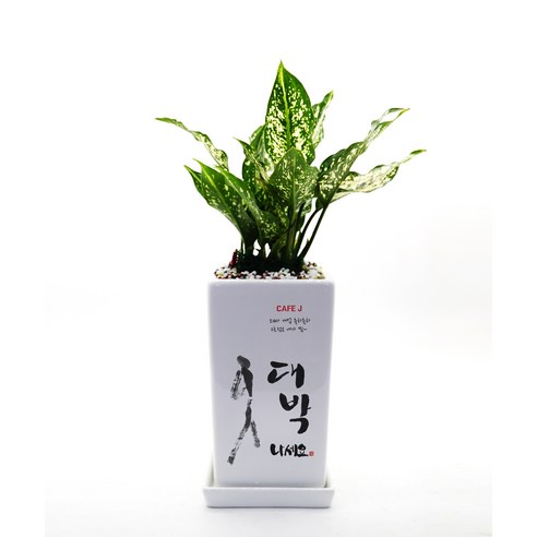 하시는 모든 일이 대박 나세요