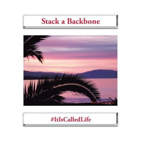 (영문도서) Stack a Backbone Paperback, Trafford Publishing, English, 9781490788791