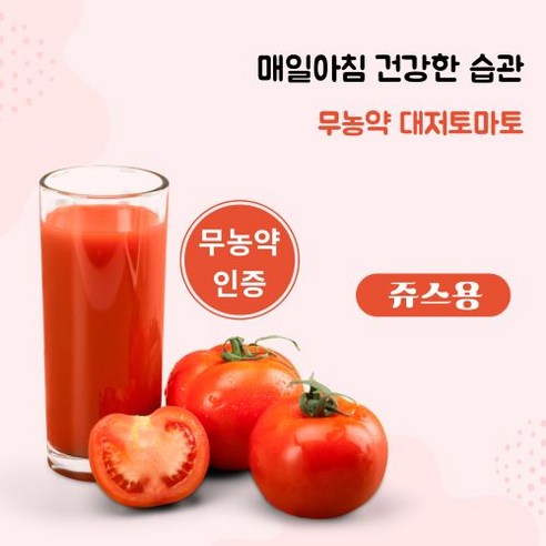 [무농약인증] 싱싱하고 건강한 대저 토마토 쥬스용 2.5kg (바로수확후 바로배송), 1개