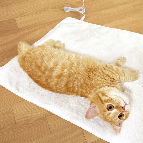 카미스쥬 고양이 강아지 애완 카본 전기방석