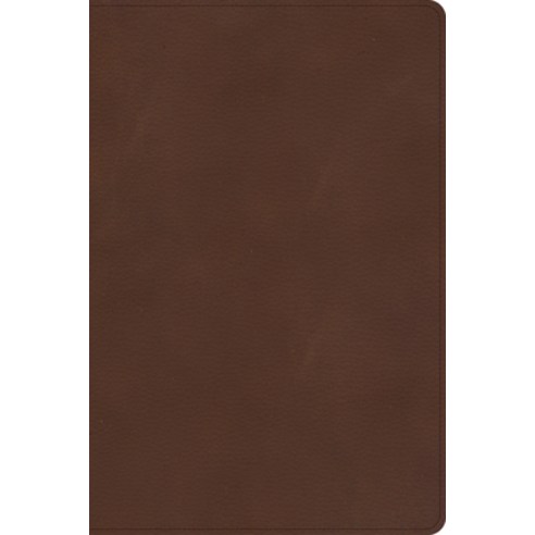 (영문도서) CSB Rainbow Study Bible Brown Leathertouch Imitation Leather, Holman Bibles, English, 9781087774213