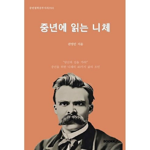 중년에 읽는 니체, BOOKK(부크크), 권영민 저