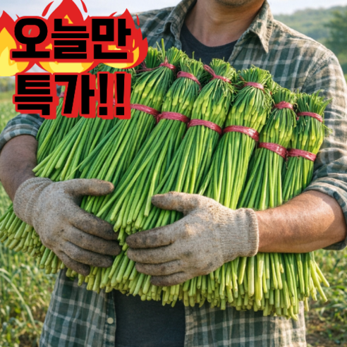 [최상급 특품] 국산 햇 마늘쫑 특가 제철수확 산지발송, 1박스, 1kg(특품)