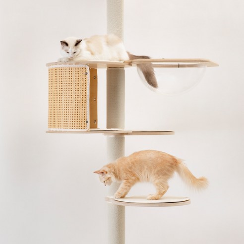 튼튼함과 디자인 모두 잡은 그린웨일 P1 캣타워, 대형묘도 안심!