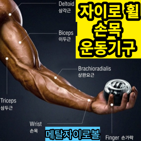 자이로볼 손목근력 전완근 운동기구 메탈 상품리뷰