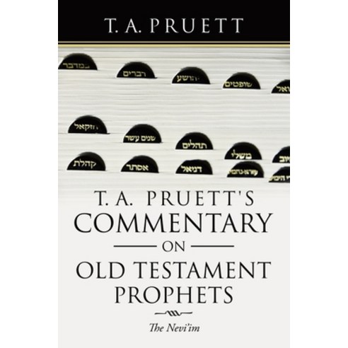 (영문도서) T. A. Pruett''s Commentary on Old Testament Prophets: The Nevi''Im Paperback, Liferich, English, 9781489733986