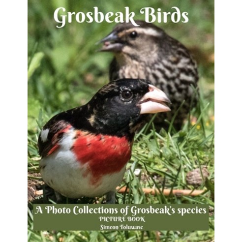 (영문도서) Grosbeak Birds A Photo Collections of Grosbeak''s Species Picture Book: Gift book for Bird Wat... Paperback, Independently Published, English, 9798510284492