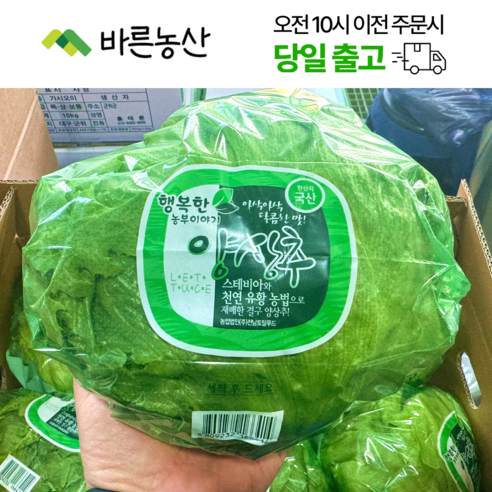 < 바른농산 > 국내산 포장 양상추 - 양상추 | 쿠팡