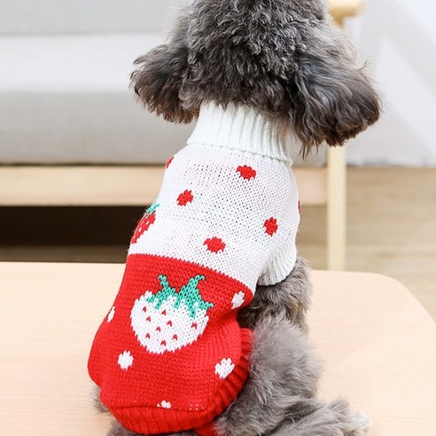 포근한 애견 목폴라 니트 스웨터 고양이 강아지 WI055DG, 빨강 딸기, -