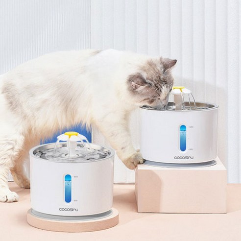 狗淨水器貓淨水器伴侶動物淨水器寵物淨水器寵物淨水器伴侶寵物用品小狗貓兩用狗狗波菲伴侶狗寵物狗河老鼠 寵物 貓 貓 小貓 小貓 澆水 狗貓 狗 貓