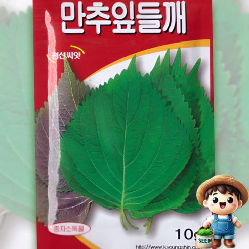 잎들깨씨앗 10g / 20g 깻잎씨앗 채소종자 쌈채소 텃밭가꾸기 - 채소씨앗 | 쿠팡