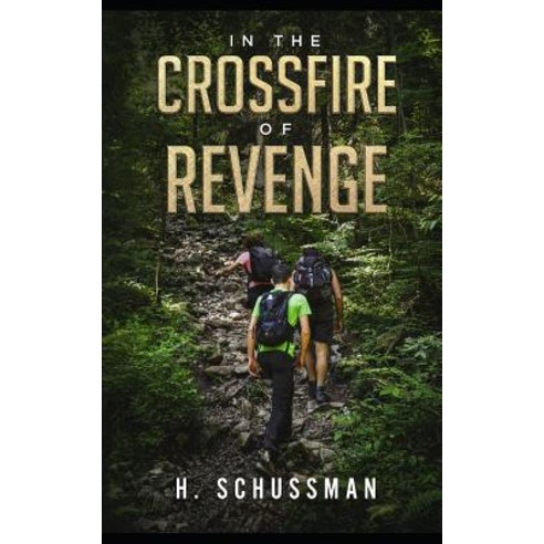 In the Crossfire of Revenge Paperback, Independently Published