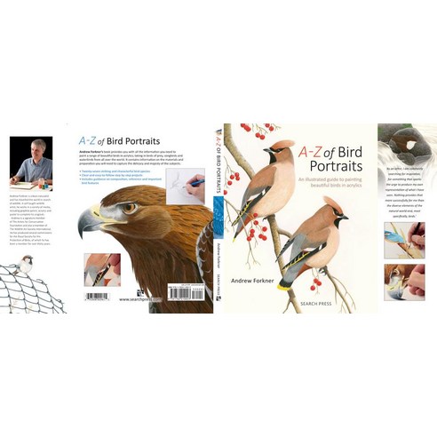 A-Z of Bird Portraits:An Illustrated Guide to Painting Beautiful Birds, Search