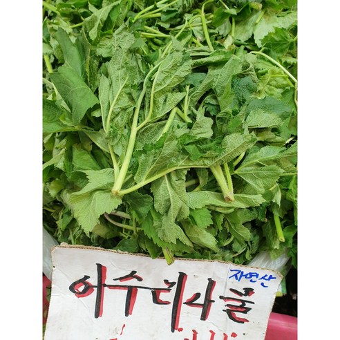 봄의 향기를 식탁으로, 자연산 어수리나물 생채 1kg의 특별한 경험 어수리나물